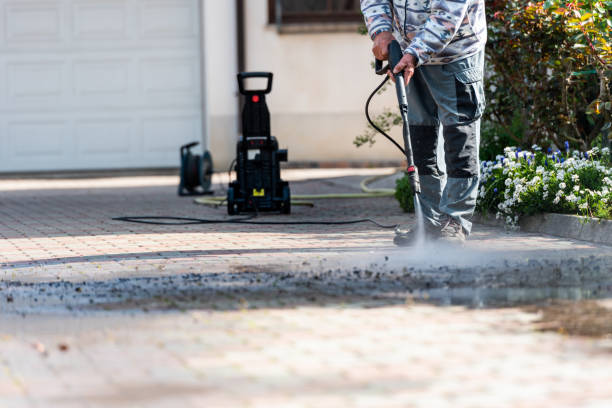 Best House Pressure Washing  in Greenvle, IL